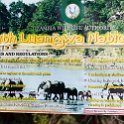 ZMB EAS SouthLuangwa 2016DEC10 NP 003 : 2016, 2016 - African Adventures, Africa, Date, December, Eastern, Mfuwe, Month, National Park, Places, South Luangwa, Trips, Year, Zambia